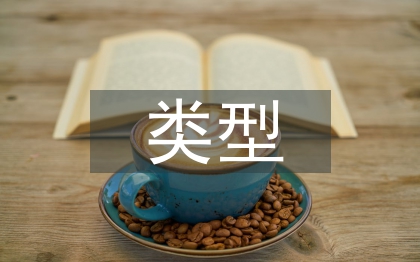 安全审计的类型
