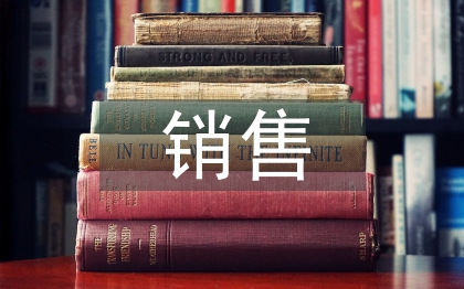 销售工作举措