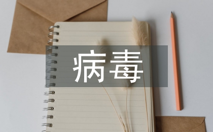 计算机网络病毒传播与防范