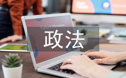 上半年政法工作总结