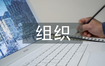 组织行为学报告