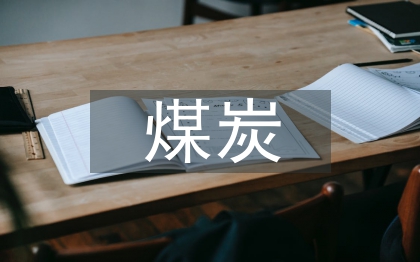 煤炭经济可持续发展策略