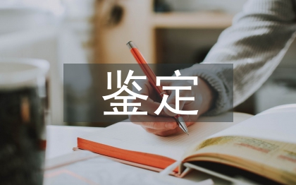 党小组鉴定意见