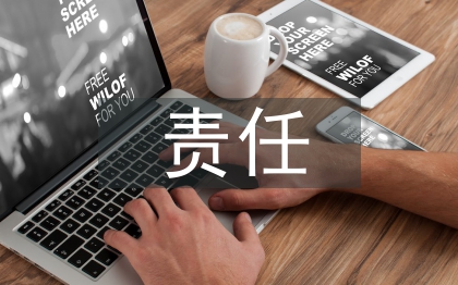 经济责任审计责任界定