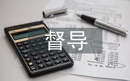 督导检查工作报告