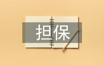 小微企业融资担保存在的问题及对策