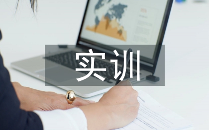 顶岗实训总结