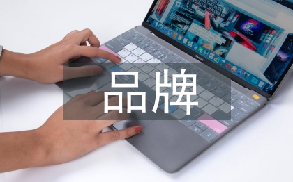 品牌战略的内容